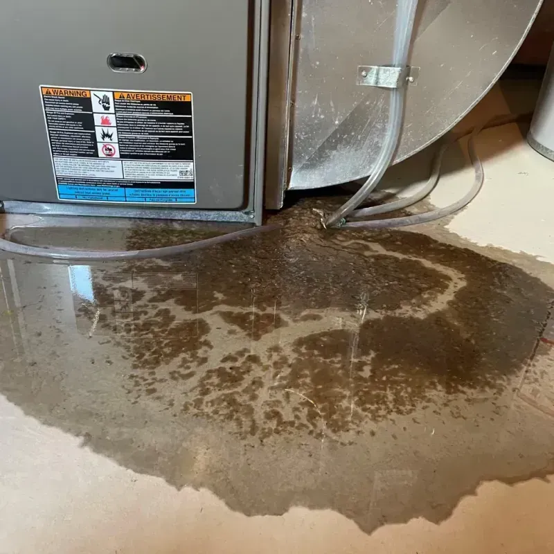 Appliance Leak Cleanup in Castine, ME